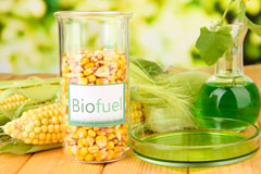 Dolgellau biofuel availability